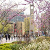 20220421_spring_stock_007-web_res_jpeg_150_dpi_1_0.jpeg