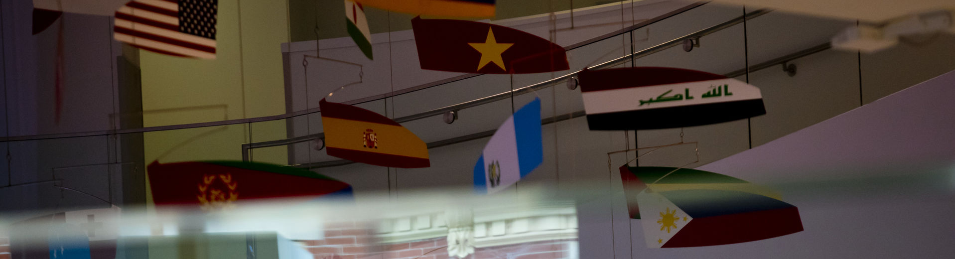 International flags hanging in Alter Hall